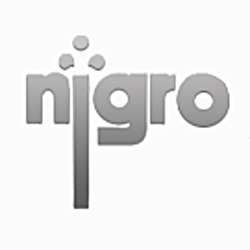 Nigro Group Srl logo
