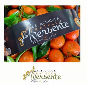 Clementine - Azienda Agricola F.lli Aversente Corigliano Calabro - Calabria
