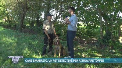 Droni e cani molecolari: ecco il lavoro del pet detective