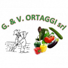 G. & V. ORTAGGI