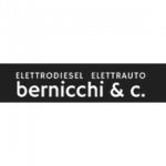 Elettrodiesel Elettrauto Bernicchi e C.