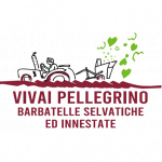 Vivai Pellegrino - Barbatelle Selvatiche ed Innestate