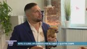 Hotel a quattro zampe: lusso e coccole per cani e gatti