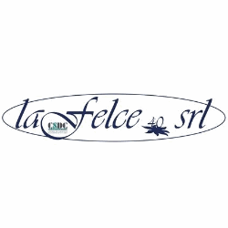 La Felce 40 logo