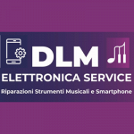 DLM Elettronica Service