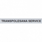 Transpolesana Service - Veicoli Industriali