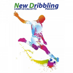 New Dribbling Calcetto