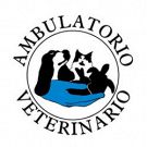 Ambulatorio Veterinario Associato Cusaro - Merlo - Porati - Pozzoli