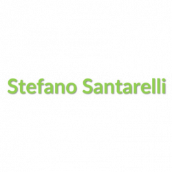 Stefano Santarelli logo