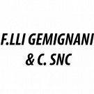 F.lli Gemignani & C. Snc