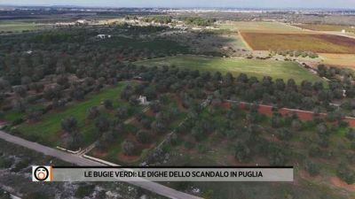 Le bugie verdi: le dighe dello scandalo in Puglia