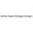 Gallina Angelo Noleggio Autogru