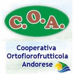 Cooperativa Ortoflorofrutticola Andorese logo