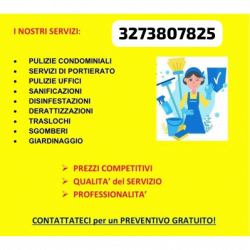 Edgar Soto Cleaning logo