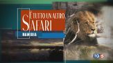 Verissimo, Bocelli 30 e Speciale sulla Namibia