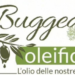 Buggea Group logo