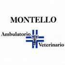Ambulatorio Veterinario Montello