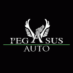 Pegasus Auto Vendita & Noleggio