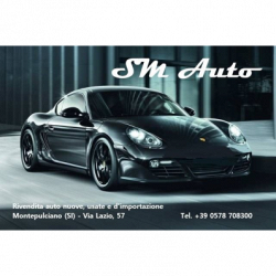 Sani Mauro Autosalone - Vendita Auto Nuove Usate e D'Importazione logo