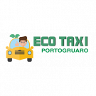 Taxi Portogruaro - Eco Taxi 14