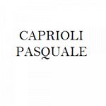Dott. Pasquale Caprioli