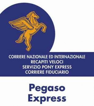 Pegaso Express