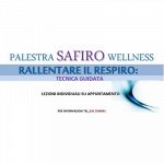 Safiro Palestre e Fitness