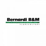 Bernardi B. & M. di Vidotto Bruna & C.