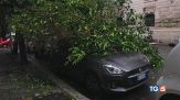 Toscana e Lazio, danni per nubifragi e vento