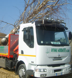 ABBATE VIVAI giardinaggio