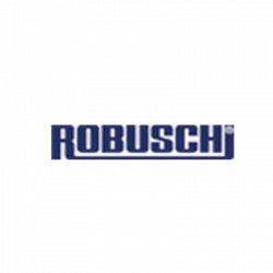 Gardner Denver - Divisione Robuschi logo