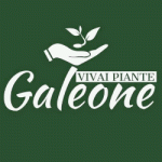 Vivai Piante Galeone