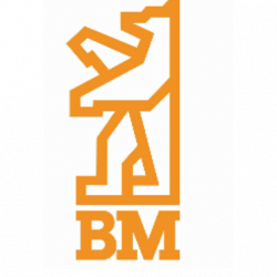 Bm Srl logo