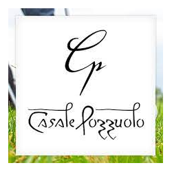 Residenza Storica Casale Pozzuolo logo