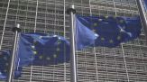 AFD preoccupa l'Ue la politica si divide