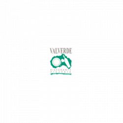 Ristorante Pizzeria Valverde logo