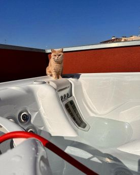 Un amico curioso sulla vasca spa Hotspring