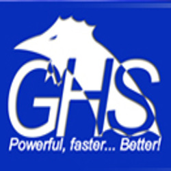 Gallo Hardware Solutions Di Maurizio Gallo e C. Sas logo