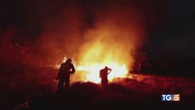 L'Amazzonia brucia Il 2024 l'anno nero