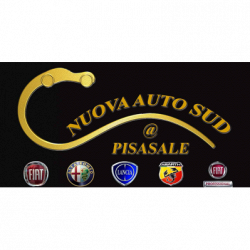 Nuova Auto Sud Pisasale logo