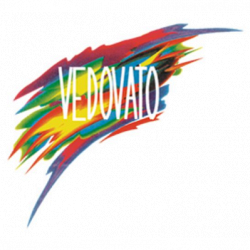 Vedovato S.r.l. - Produzione Sacchi e Bobine Termoretraibile in Pe-Ld logo