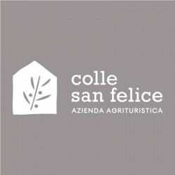 Agriturismo Colle San Felice logo