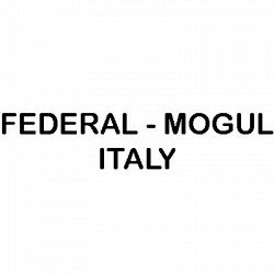 Federal - Mogul Italy logo