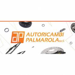 Autoricambi Palmarola Srl logo