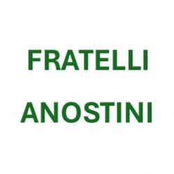 Fratelli Anostini logo