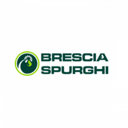 Brescia Spurghi logo