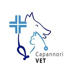 Ambulatorio Medico Veterinario CapannoriVET del Dott. Luca Cassiani logo