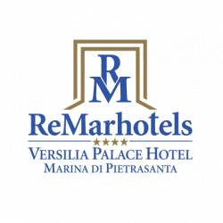 Hotel Versilia Palace logo