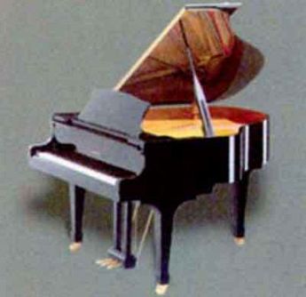 MUSICAL COGGI pianoforti