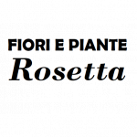 Fiori e Piante Rosetta